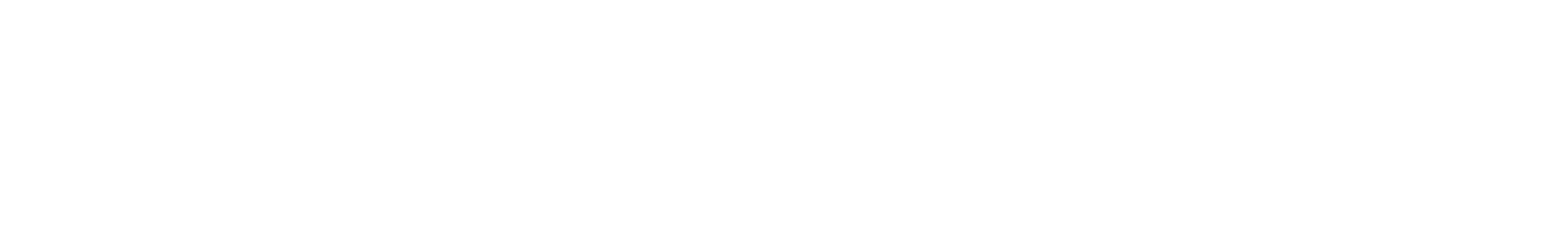 一言